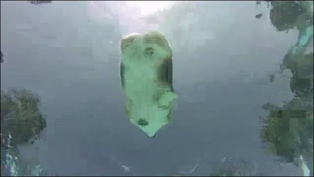 プールで泳ぐコーギーを水中から撮影するとものすごく可愛いことがよく分かる動画 ツイナビ ツイッターの話題まとめ