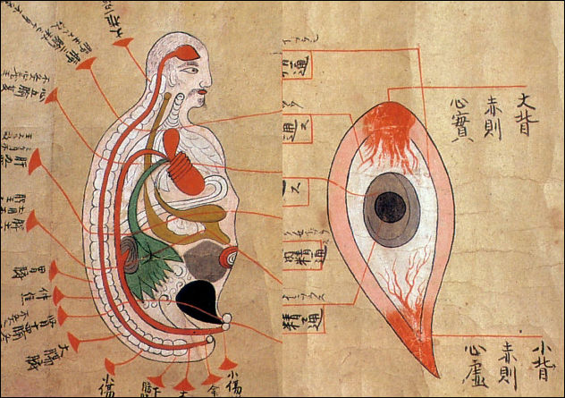 閲覧注意 江戸時代に書かれた日本画調の人体の解剖図や骨格図いろいろ Dna