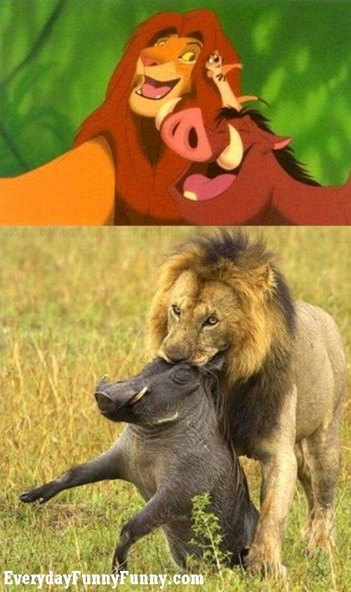 ディズニー映画のワンシーンとリアルな野生動物の世界を比較した画像 Dna
