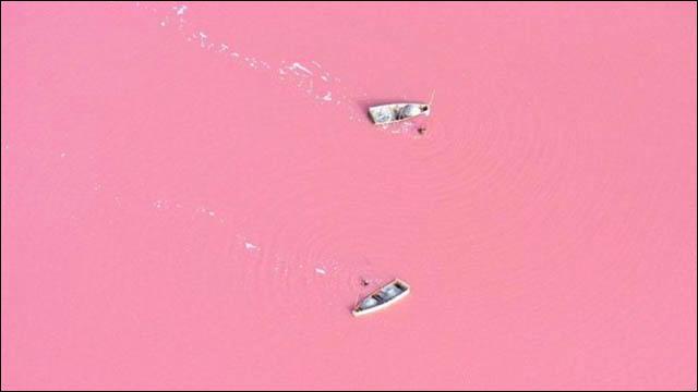 西アフリカ セネガルに存在する鮮やかなピンク色をした天然の湖 ラック ローズ Dna