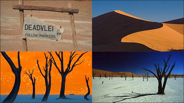 アフリカ ナミビアのナミブ砂漠にあるこの世のものとは思えない死の沼地 デッドフレイ Deadvlei Dna