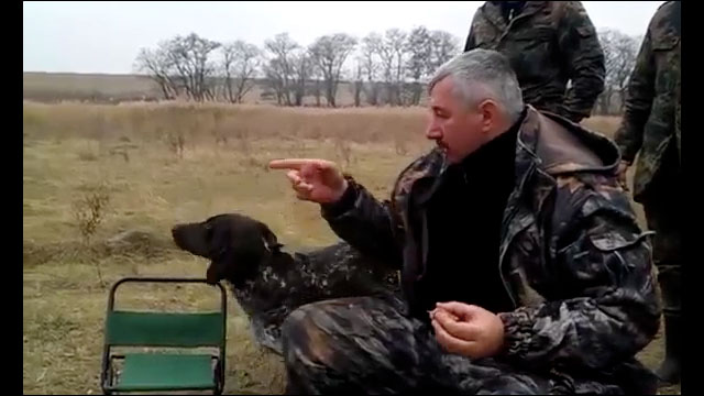 ロシア人からエサを貰う方法を完全に理解している犬の動画 Dna