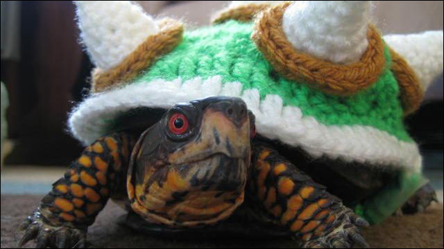 ペットの亀をかわいい クッパ大王 に変身させる手編みのセーター Crochet Bowser Sweater Dna