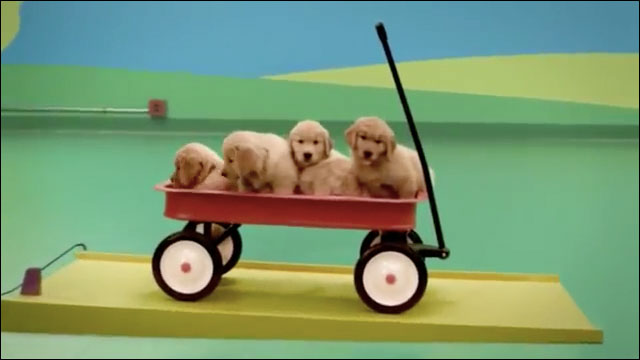ビシッと訓練された賢い犬たちを使ったかわいいピタゴラスイッチ風動画 Dna