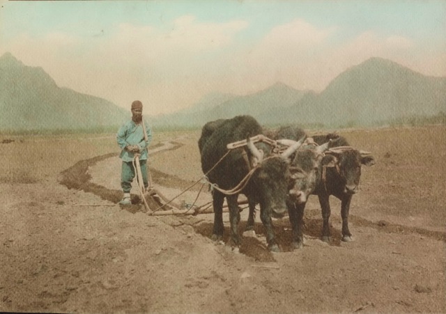 20世紀初頭、清朝末期の北京の様子を捉えた非常に貴重なカラー復元写真いろいろ