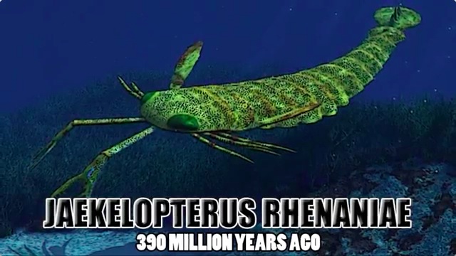 絶滅した古代生物から現代の動物まで地球上の巨大生物10選 - DNA