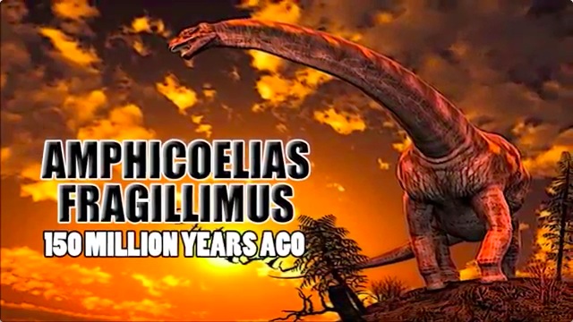 絶滅した古代生物から現代の動物まで地球上の巨大生物10選 - DNA