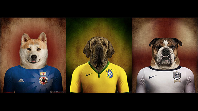 14 Fifaワールドカップ を占う原産国の代表ユニフォームを着た犬のイラスト17枚 Dna