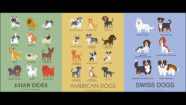原産地別にまとめられた犬たちのかわいいイラストシリーズ Dogs Of The World Dna