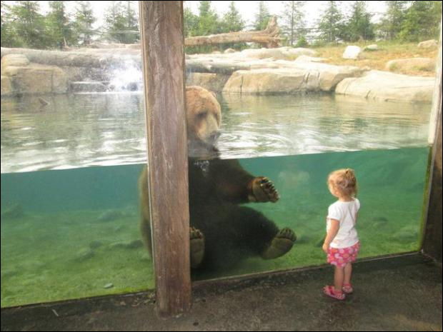 動物園で見かけたちょっとした奇跡の瞬間いろいろ Dna