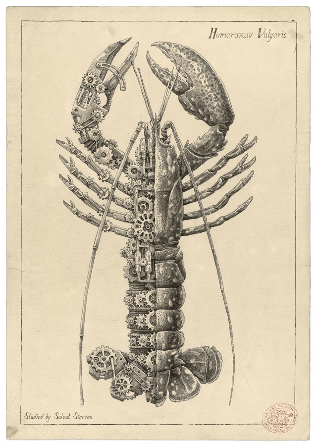 機械と生物の美しき融合 機械仕掛けの甲殻類を古い生物学風に描いたイラスト集 Mechanical Biological Dna