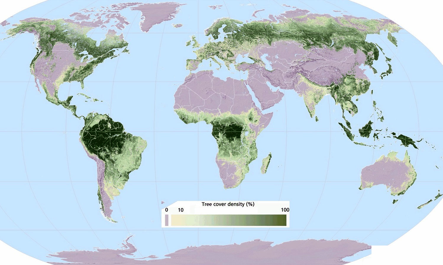 地球上のどこに森林が分布しているのかがよくわかる世界地図 Dna