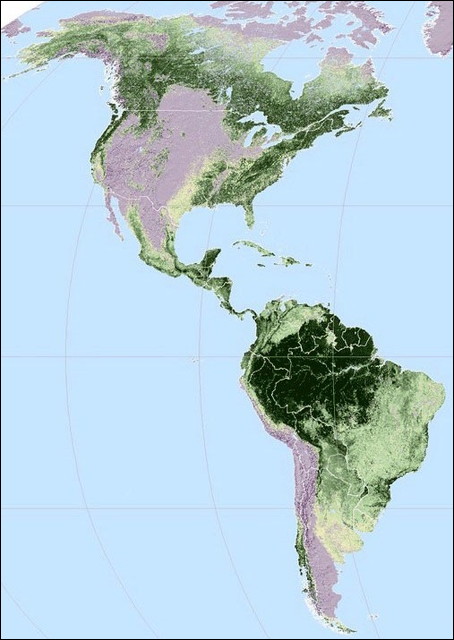 地球上のどこに森林が分布しているのかがよくわかる世界地図 Dna