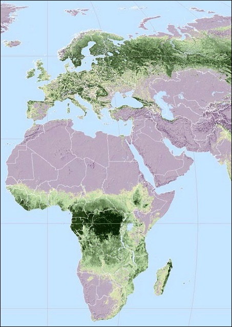 地球上のどこに森林が分布しているのかがよくわかる世界地図 Dna