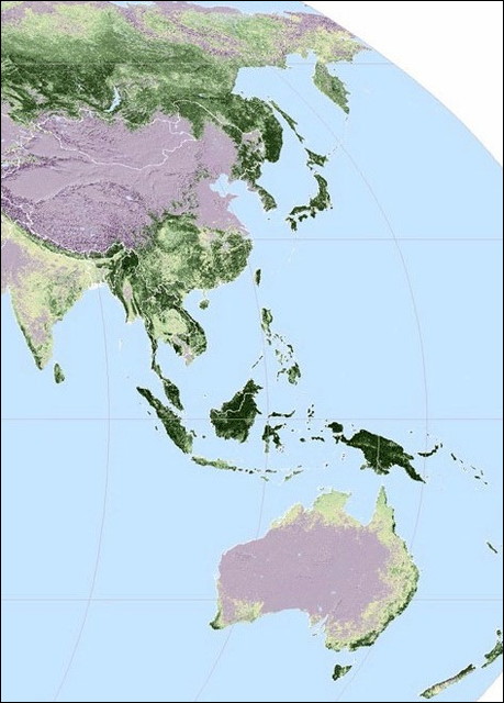 地球上のどこに森林が分布しているのかがよくわかる世界地図 Dna