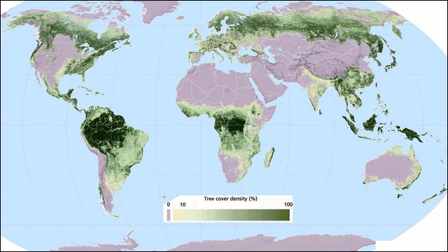 地球上のどこに森林が分布しているのかがよくわかる世界地図 Dna