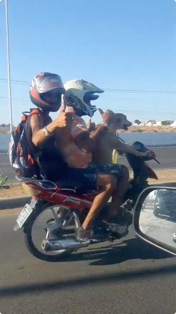 後ろに人間二人を乗せてバイクを運転している犬がブラジルで目撃される Dna