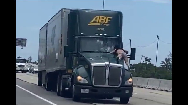 高速道路でボンネットに乗ってフロントガラスを叩き割る男を振り落とそうともがくトラック Dna