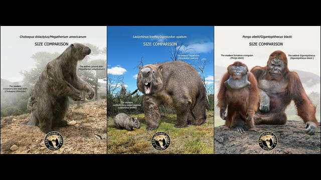 絶滅した巨大生物とその子孫たちの姿を比較したイラストシリーズが面白い Dna